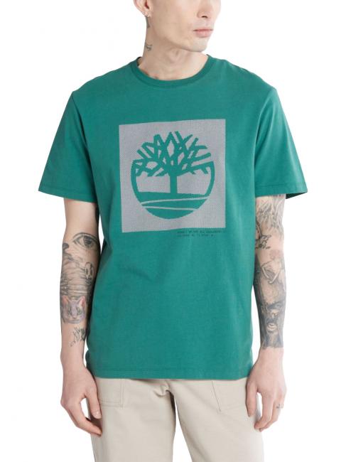 TIMBERLAND GRAPHIC camiseta con gráfico de árbol ramillete verde - camiseta