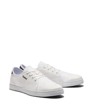 TIMBERLAND SHAPE PARK LOW  Zapatillas - Zapatos Hombre