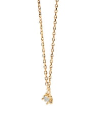 PDPAOLA COLOR GREY FLEUR Collar colgante con circonitas y garras - Collares