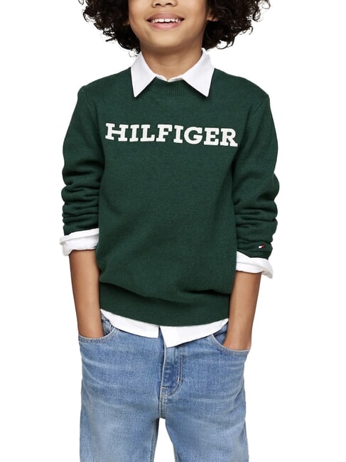 TOMMY HILFIGER TH KIDS suéter de cuello redondo verde ornamental - Suéteres para niños
