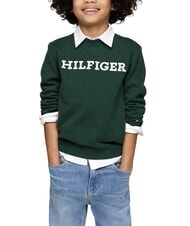 TOMMY HILFIGER TH KIDS suéter de cuello redondo - Suéteres para niños