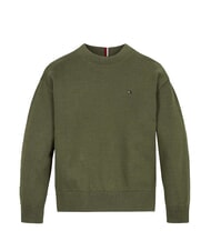 TOMMY HILFIGER TH KIDS Su&eacute;ter de cuello redondo para ni&ntilde;os - Su&eacute;teres para ni&ntilde;os