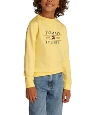 TOMMY HILFIGER TH KIDS Sudadera de cuello redondo con estampado limoncillo - Sudadera Beb&eacute; - 1