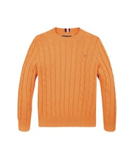 TOMMY HILFIGER TH KIDS Su&eacute;ter de algod&oacute;n para beb&eacute; trueno naranja - Su&eacute;teres para ni&ntilde;os - 1