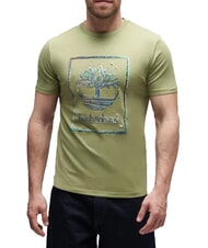 TIMBERLAND WATER Camiseta de manga corta, algod&oacute;n puro verde claro - camiseta - 1