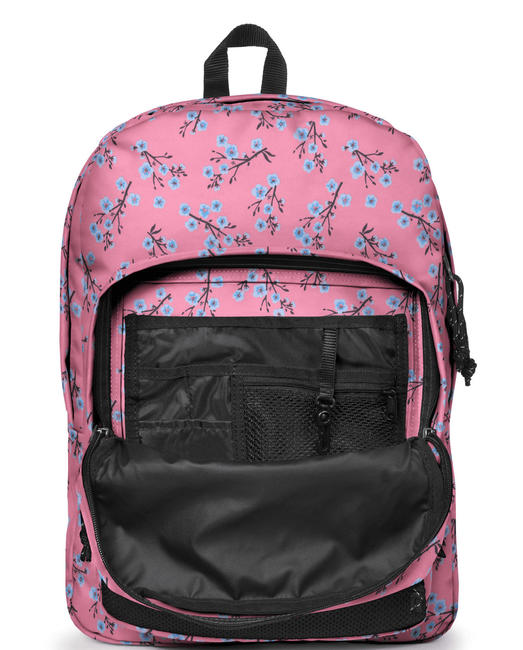 Mochilas  Pinnacle   Cristal de la dicha - Mochilas Escuela & Tiempo Libre