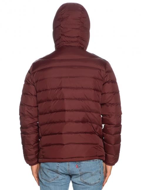 STEVENSON Plum&iacute;fero acolchado con capucha chocolate de diciembre - Chaquetas de plumas para hombre
