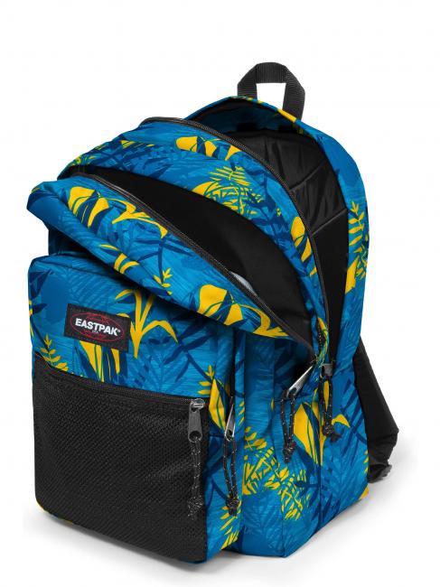 PINNACLE Mochila turquesa brillante - Mochilas Escuela & Tiempo Libre