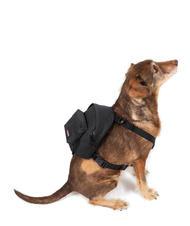 EASTPAK DOG PAK'R Minimochila para perros - Artículos para animales