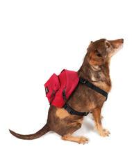 EASTPAK DOG PAK'R Minimochila para perros Marinero rojo - Artículos para animales - 2