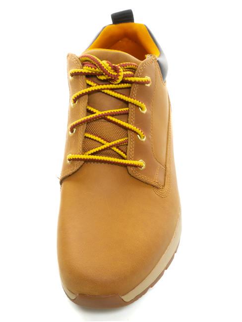 KILLINGTON LOW Zapatillas de cuero trigo - Zapatos Hombre