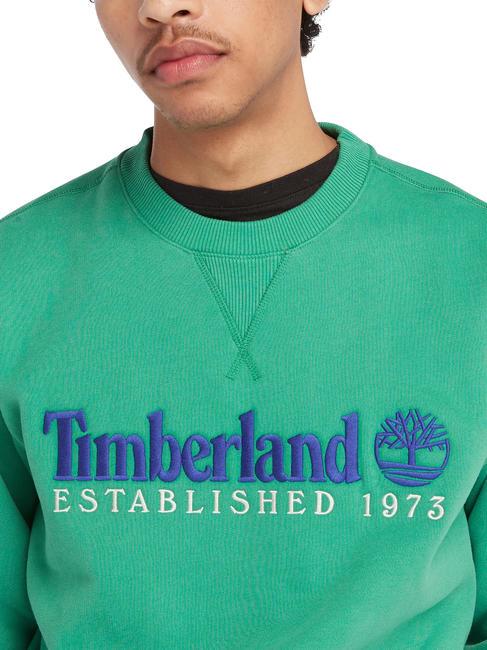 ESTABILISHED 1973 Sudadera con cuello redondo verde celta wb - Sudaderas