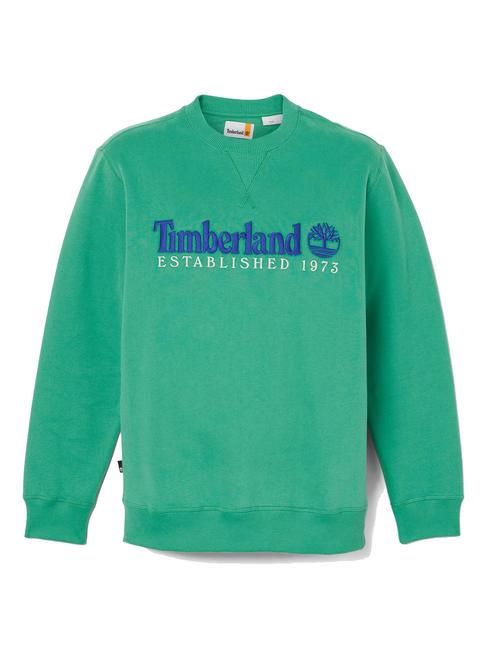 ESTABILISHED 1973 Sudadera con cuello redondo verde celta wb - Sudaderas