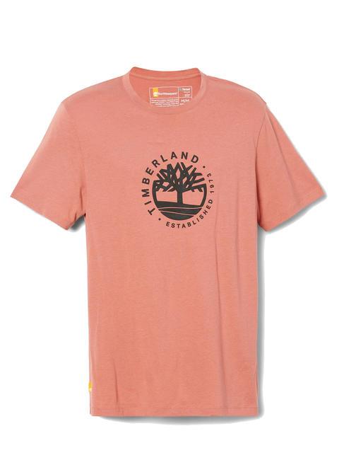 SS REFIBRA Camiseta de algodón caoba clara - camiseta