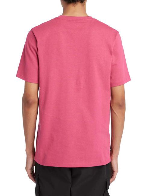 ESTABILISHED 1973 Camiseta de algodón animado wb - camiseta