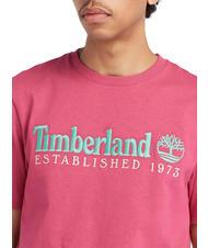 TIMBERLAND ESTABILISHED 1973 Camiseta de algod&oacute;n animado wb - camiseta - 3