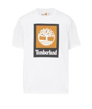 TIMBERLAND STACK LOGO Camiseta de algod&oacute;n blanco - camiseta - 3