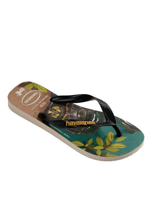 Chanclas IPE beige/negro/amarillo - Zapatos unisex