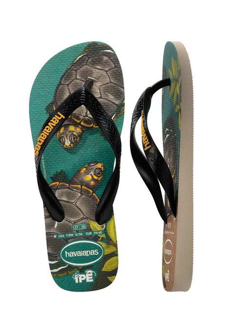 Chanclas IPE beige/negro/amarillo - Zapatos unisex