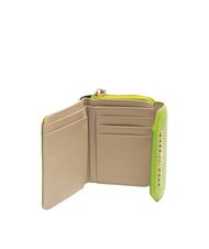 ROCCOBAROCCO GAIA  verde - Carteras Mujer - 2