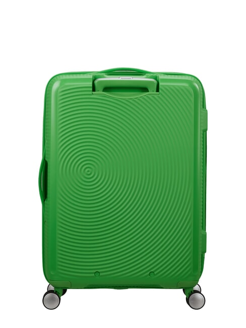 SOUNDBOX SPINNER Carro mediano, expandible verde hierba - Trolley Rígidos