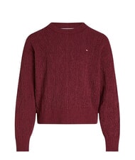 TOMMY HILFIGER TH KIDS Su&eacute;ter de cuello redondo rojo intenso - Su&eacute;teres para ni&ntilde;os - 3