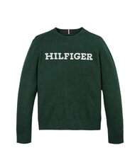 TOMMY HILFIGER TH KIDS suéter de cuello redondo - Suéteres para niños