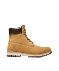 TIMBERLAND RADFORD Botines de piel - Zapatos Hombre