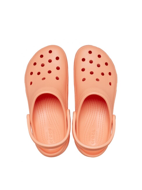 CLASSIC PLATFORM CLOG W Sandalia zueco papaya - Zapatos Mujer