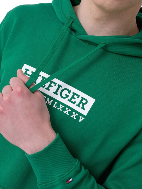 TH Sudadera con capucha estampada nuevo verde - Sudaderas