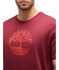 TIMBERLAND KBEC RIVER Camiseta de manga corta borgo&ntilde;a - camiseta - 3