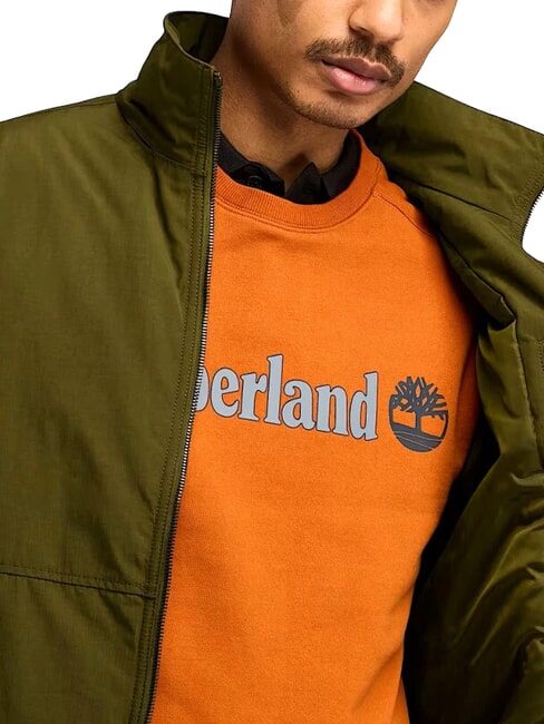 SAILOR Chaqueta  darkoliv - Chaquetas de hombre