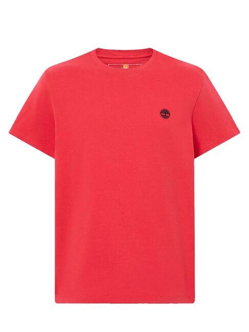 SS DUNRIVER CREW Camiseta de algod&oacute;n gris enercitico - camiseta