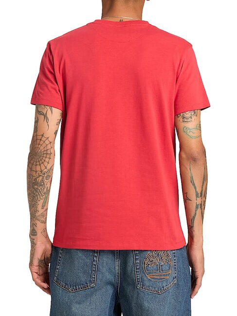 SS DUNRIVER CREW Camiseta de algod&oacute;n gris enercitico - camiseta