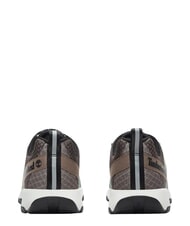 TIMBERLAND WINSOR TRAIL Zapatillas deportivas de piel mixta malla color topo - Zapatos Hombre - 2