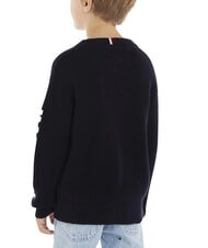 TOMMY HILFIGER TH Jersey de algod&oacute;n de cuello redondo cielo del desierto - Su&eacute;teres para ni&ntilde;os - 4