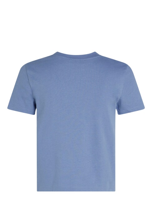 PLACED INSTITUTIONAL Camiseta de manga corta azul - camiseta