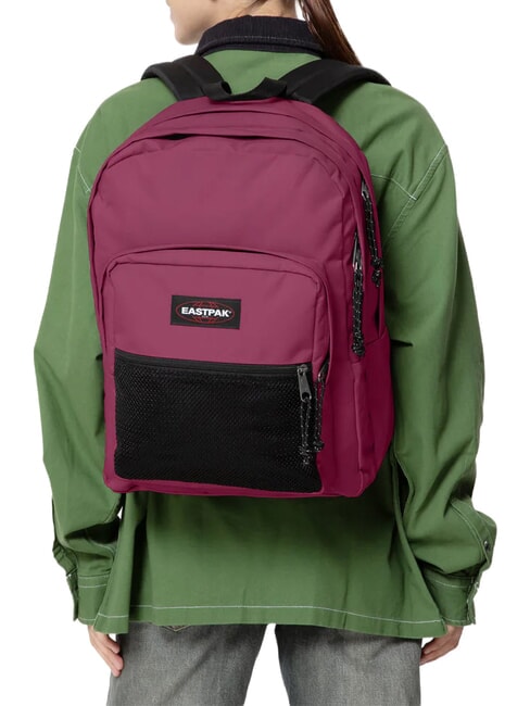 PINNACLE Mochila vino borgo&ntilde;a - Mochilas Escuela & Tiempo Libre