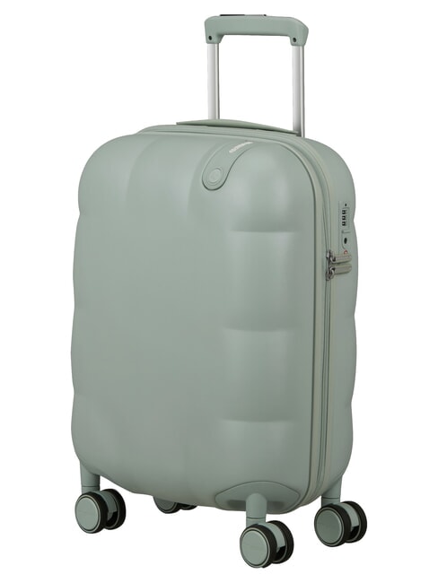 DREAMI Carritos para equipaje de mano, cerradura TSA salvia de ensue&ntilde;o eterno - Equipaje de mano