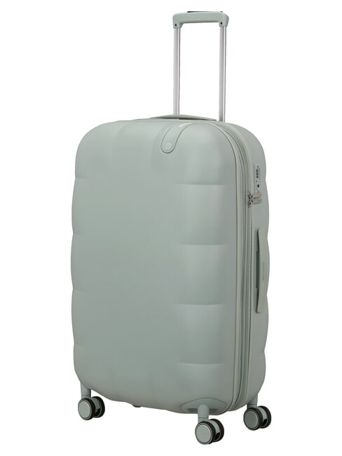 DREAMI Carro grande y extensible salvia de ensue&ntilde;o eterno - Trolley R&iacute;gidos