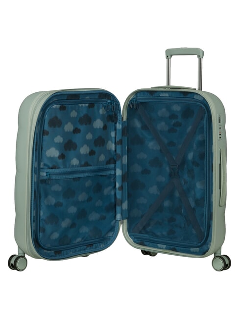 DREAMI Carro mediano, extensible salvia de ensue&ntilde;o eterno - Trolley R&iacute;gidos