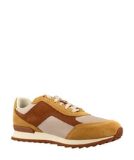 TIMBERLAND SCOUT HEIGHTS Zapatillas beige - Zapatos Hombre - 3