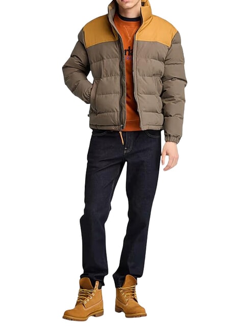 WELCH MOUNTAIN Chaqueta varios - Chaquetas de hombre